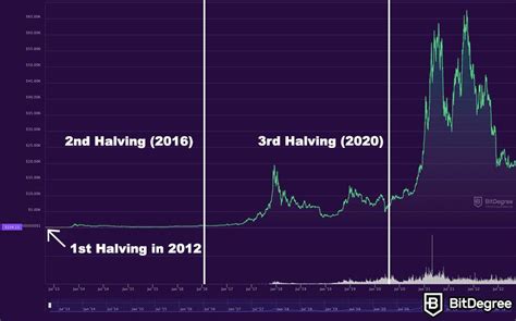 2024 Elections: What’s at Stake for Bitcoin & Crypto  .